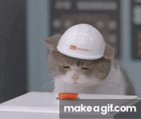 Descripción del meme